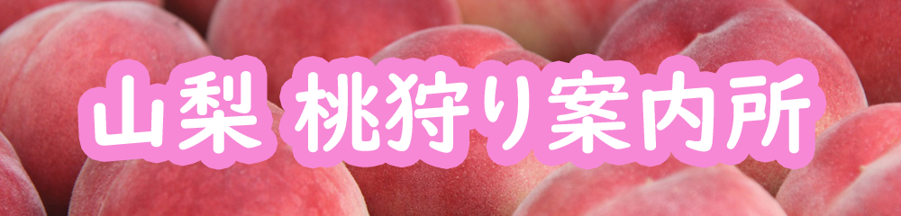 山梨桃狩り案内所